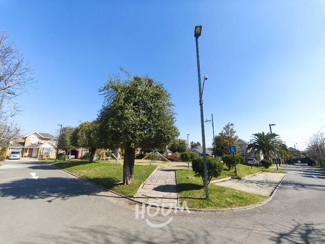 place photo 54