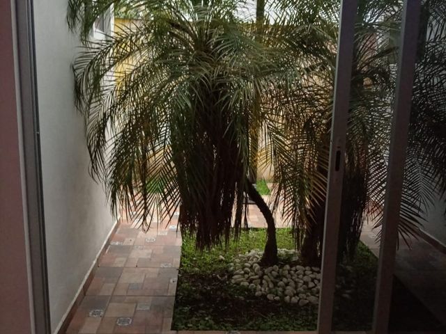place photo 40