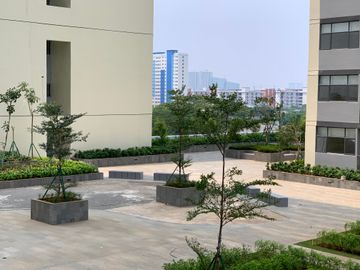 place photo 29
