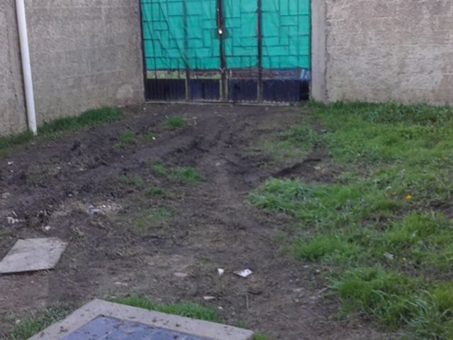 place photo 16