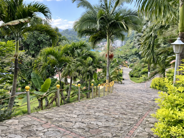 place photo 20