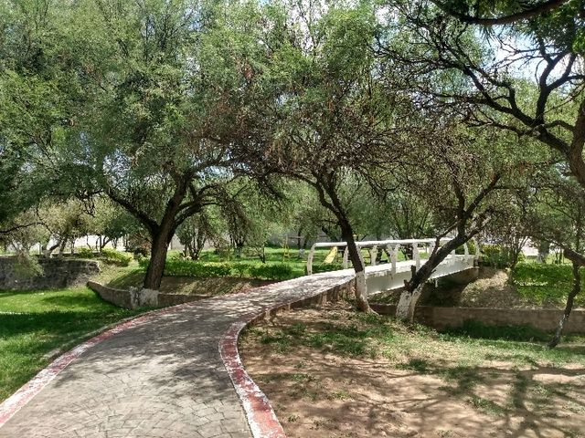 place photo 3