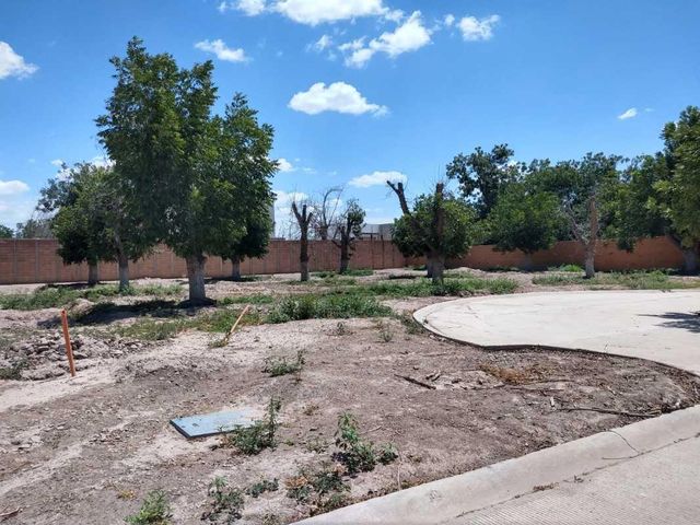 place photo 13