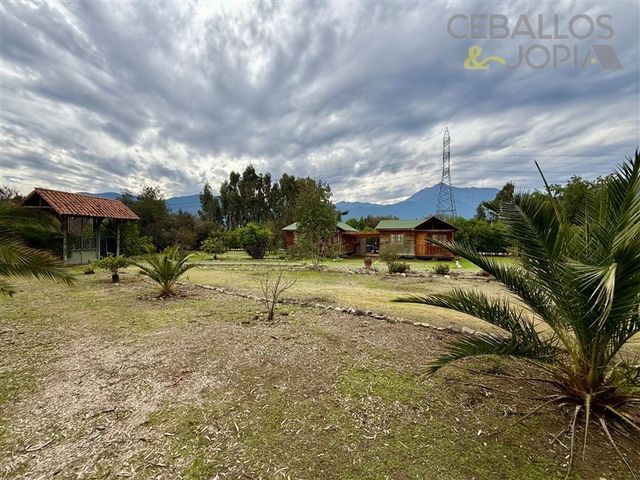 place photo 46