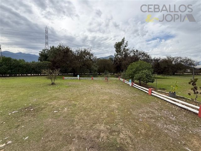 place photo 34