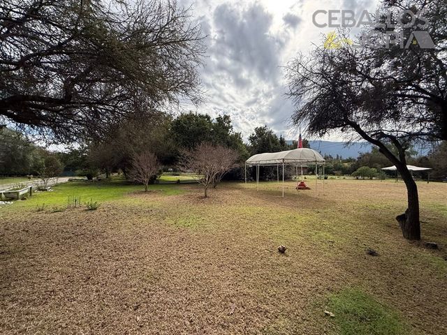 place photo 53