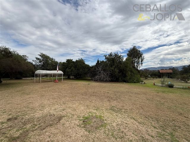 place photo 48