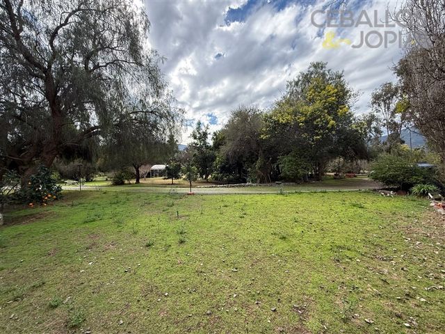 place photo 64