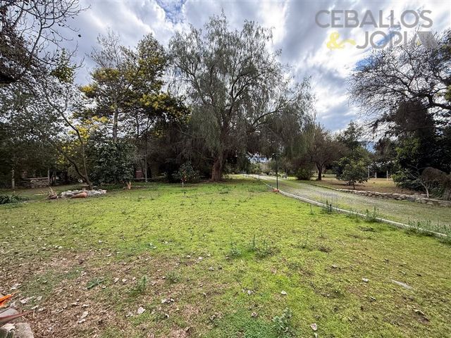 place photo 75