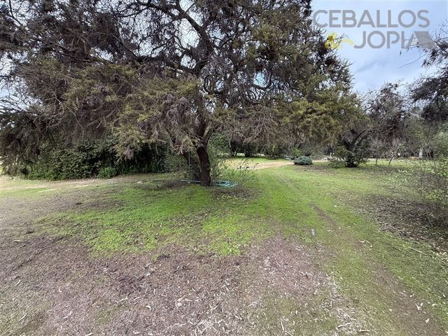 place photo 45