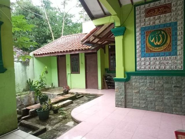 place photo 7