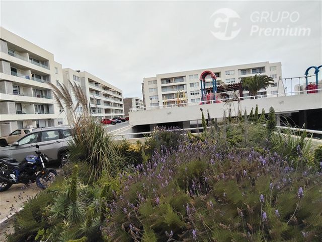place photo 26