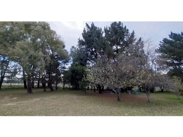 place photo 33