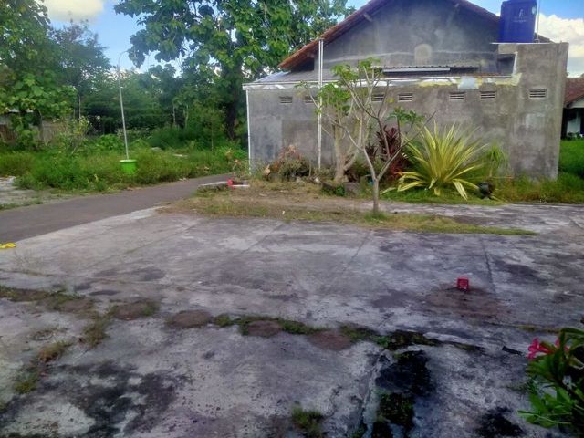 place photo 7