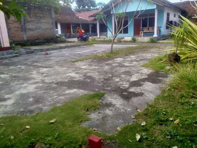 place photo 8