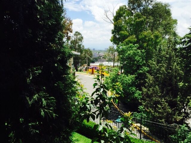 place photo 27