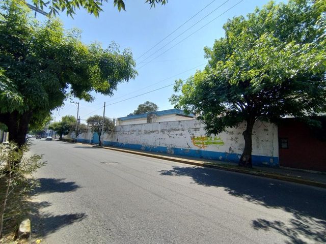 place photo 7
