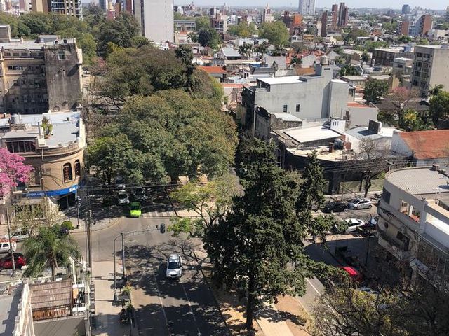 place photo 11