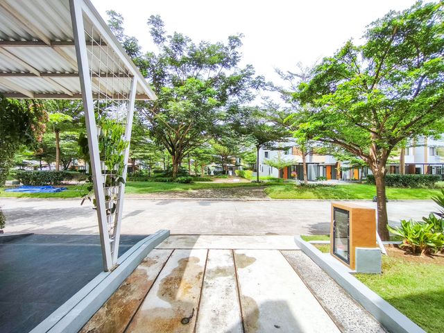 place photo 29