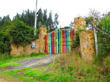 place photo 24