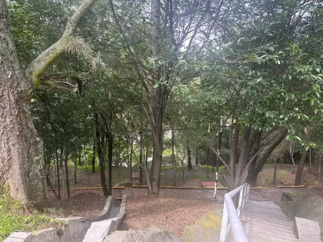 place photo 32