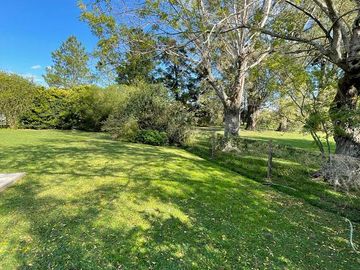 place photo 34