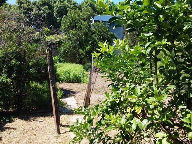 place photo 18