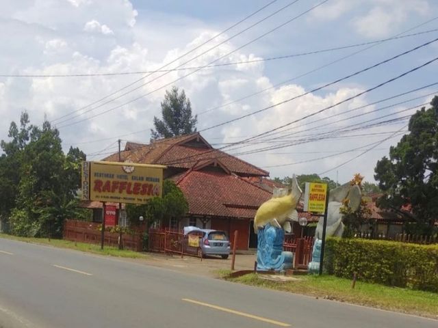 place photo 7