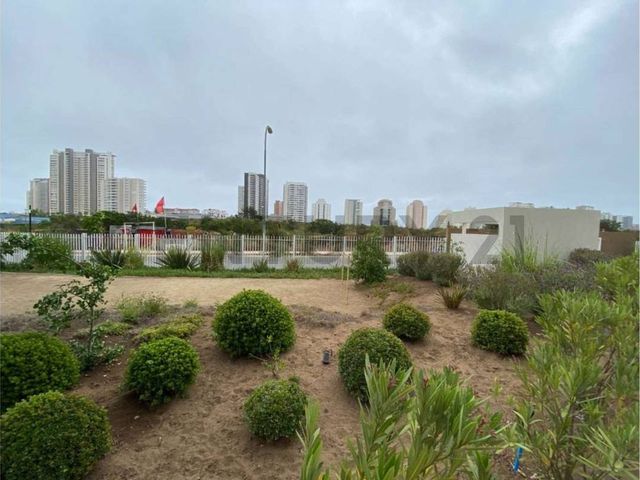 place photo 27