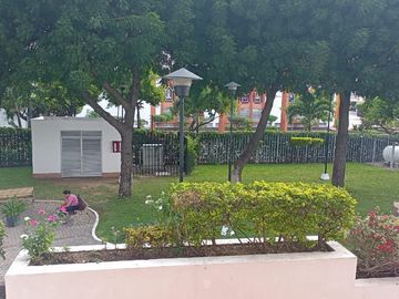 place photo 15