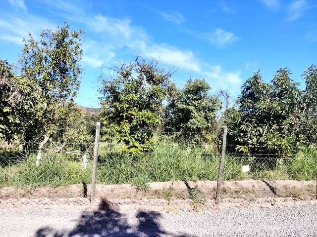 place photo 13