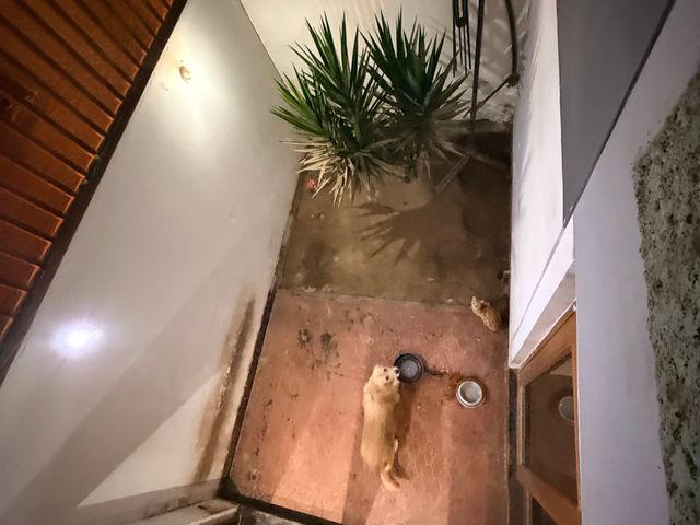 place photo 30