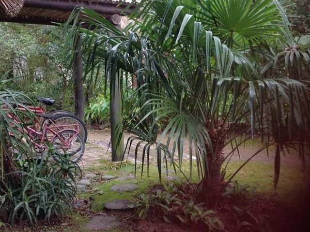 place photo 40