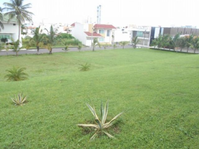 place photo 16