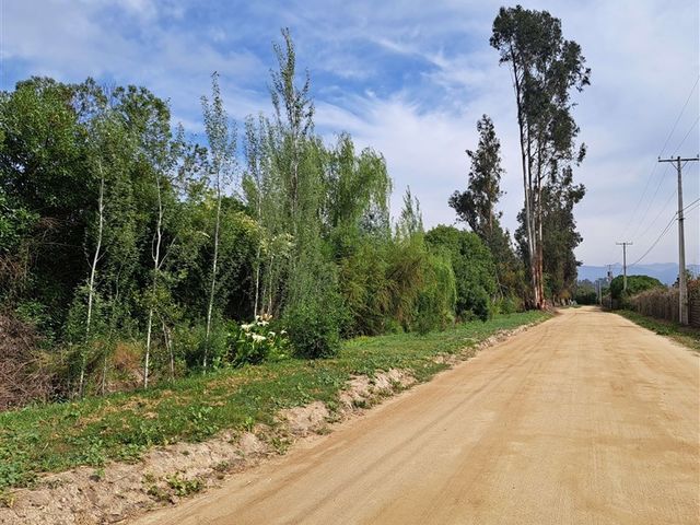 place photo 40