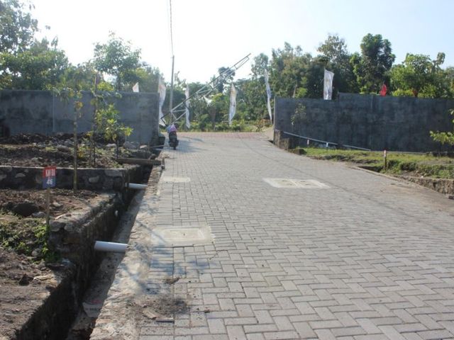 place photo 7