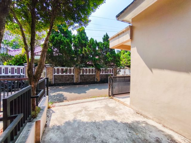 place photo 33