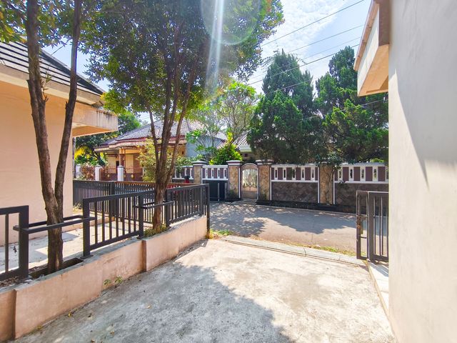 place photo 31