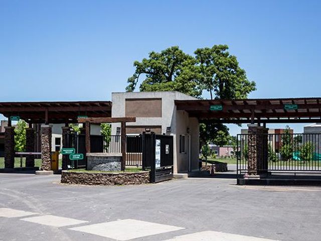 place photo 18