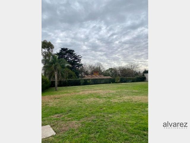place photo 18