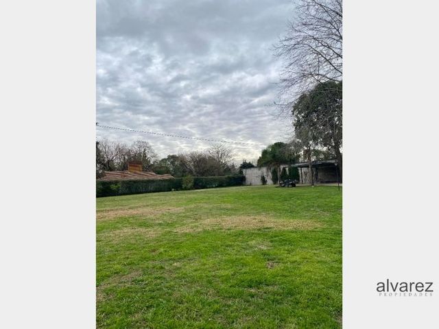 place photo 17