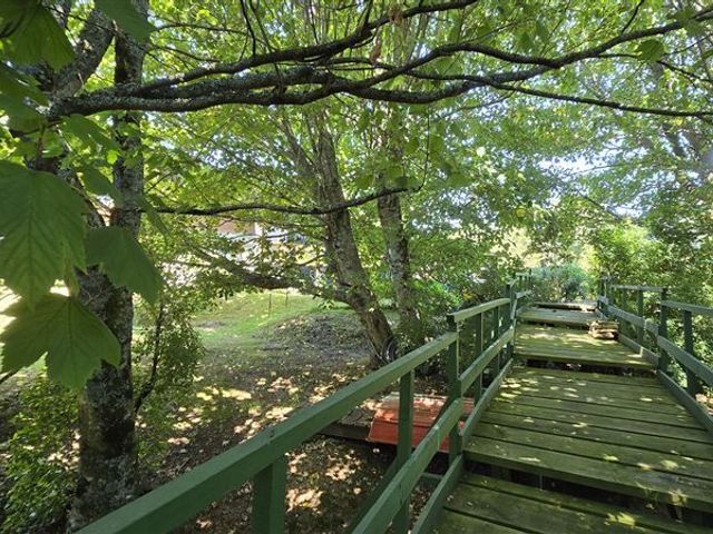 place photo 53