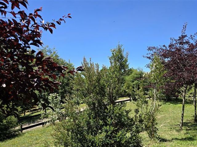 place photo 59
