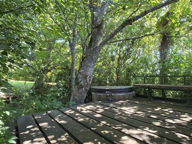 place photo 46
