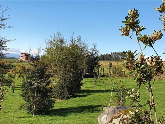 place photo 42