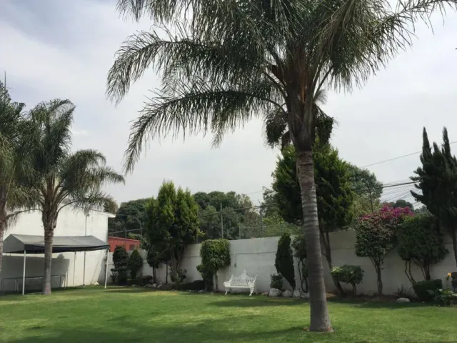 place photo 18