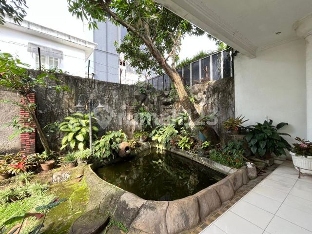 place photo 19