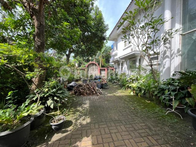 place photo 23