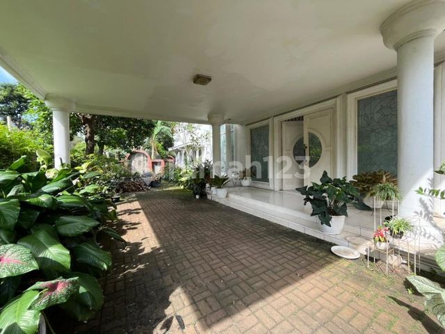 place photo 12