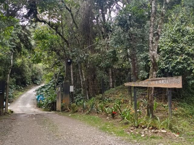 place photo 24